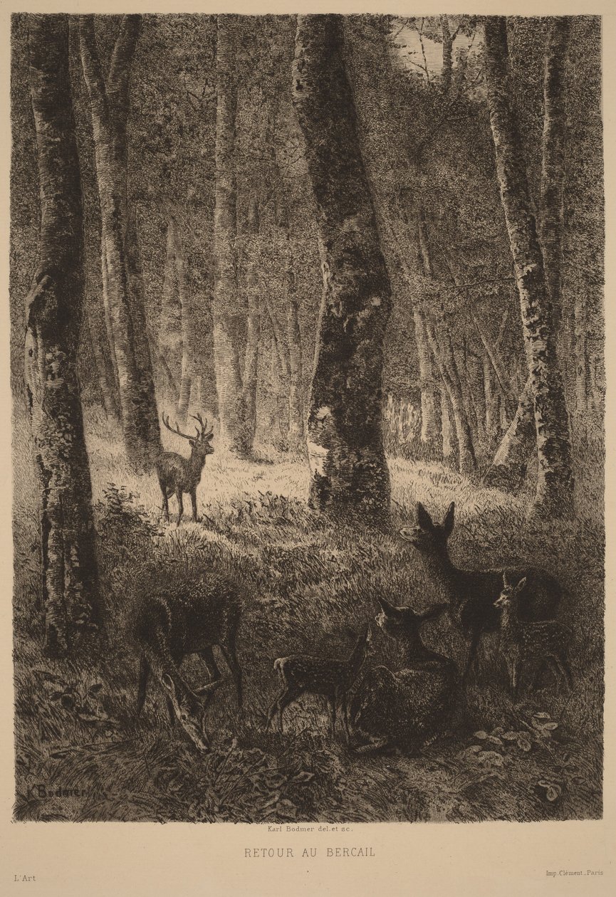 Návrat ke stádu od Karl Bodmer