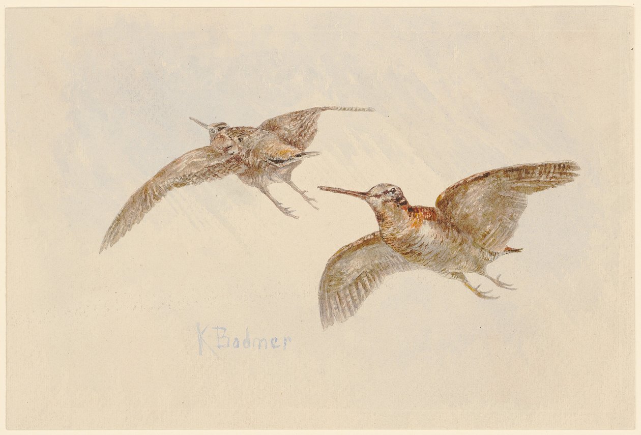 Sluky v letu od Karl Bodmer