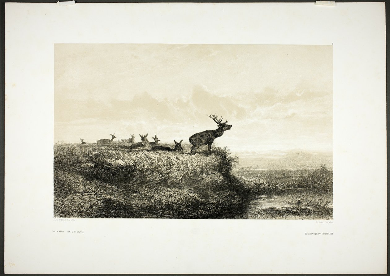 Ráno: Jeleni a laně od Karl Bodmer