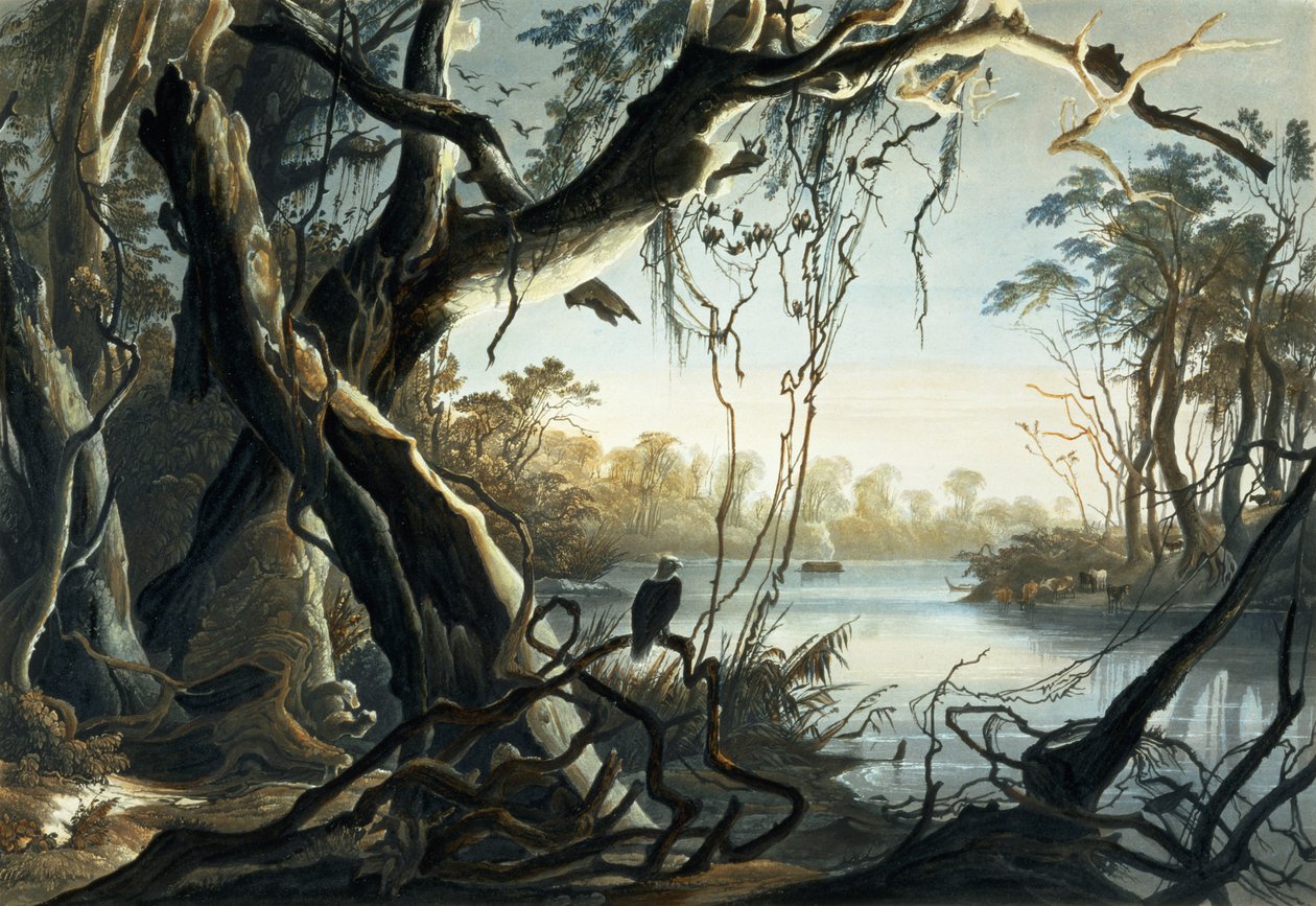 The Mouth of the Fox River, Indiana, deska 5 ze svazku 2 „Cesty ve vnitrozemí Severní Ameriky“, vyryl Sigismond Himely (1801-72) 1844 (akvatinta) od Karl Bodmer