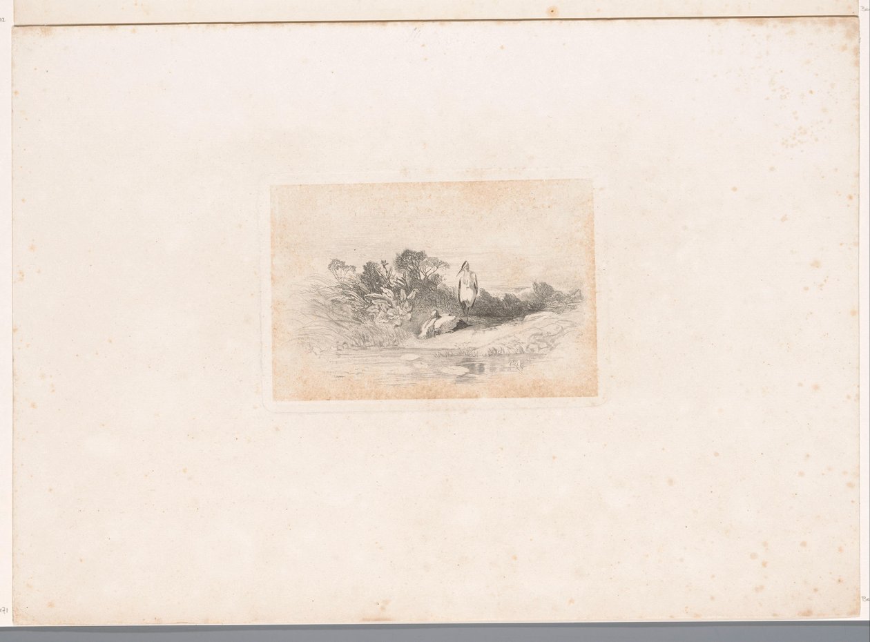 Dvě volavky na nábřeží Krajiny se zvířaty (název série) od Karl Bodmer