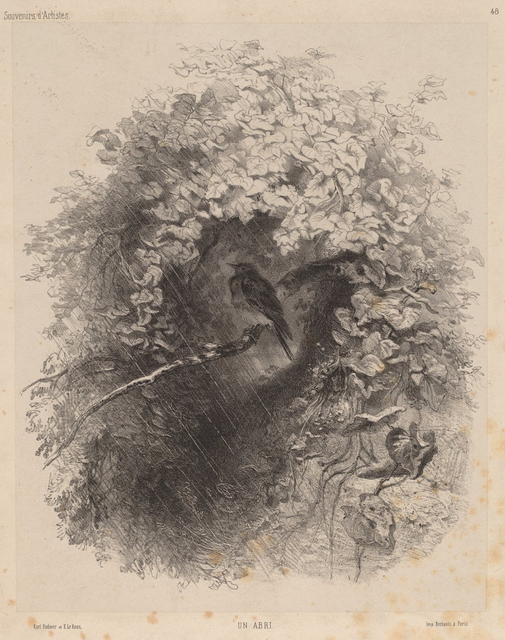 Přístřešek od Karl Bodmer
