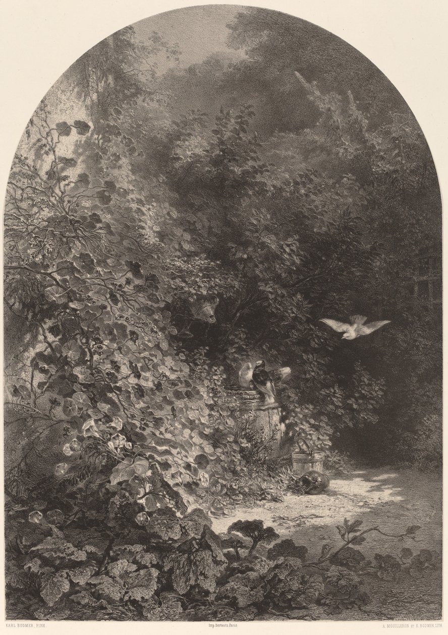 Koutek zahrady od Karl Bodmer