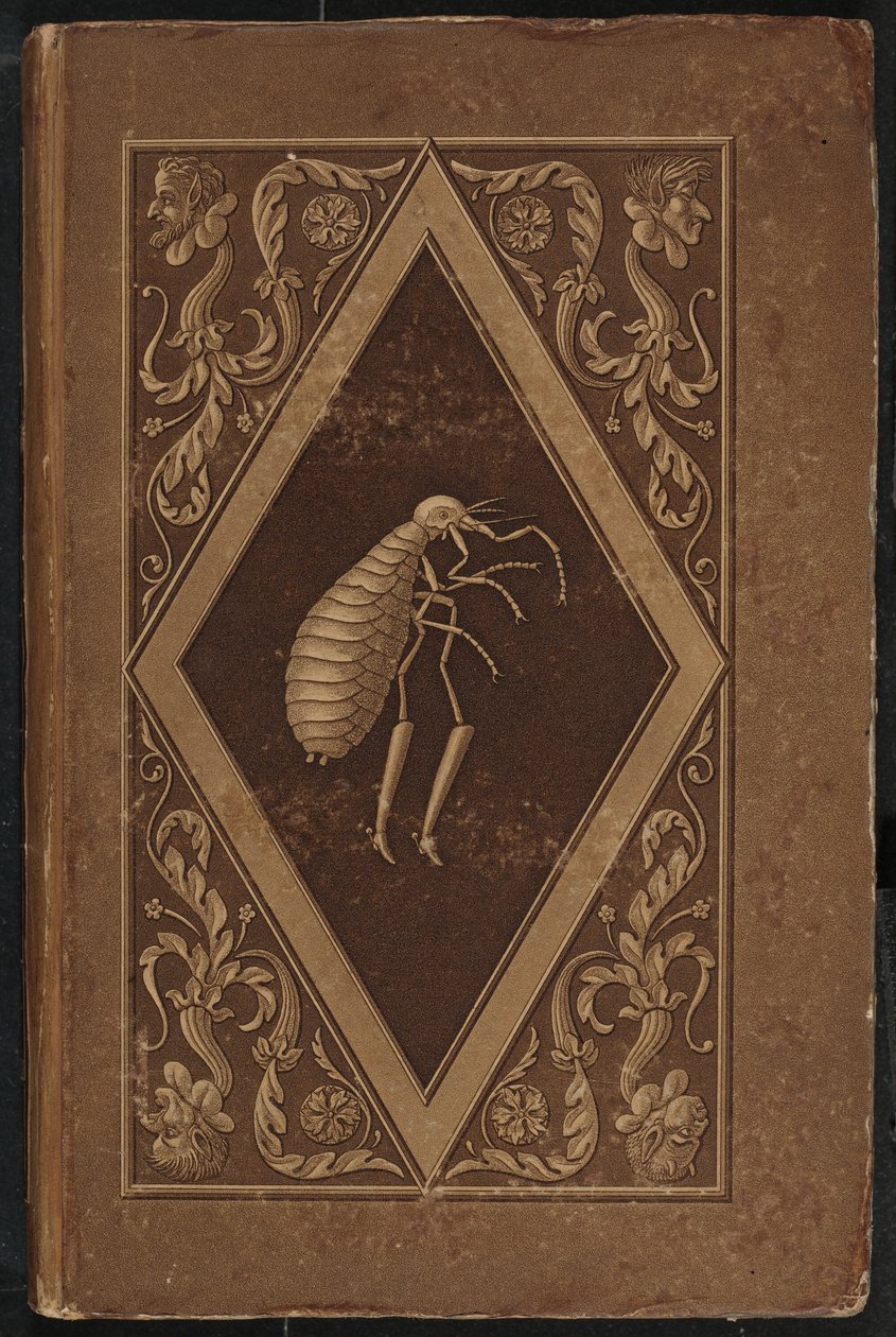 mistr blech. Pohádka v sedmi dobrodružstvích dvou přátel (Mistr Flea: A Fairy-Tale in Seven Adventures of Two Friends od Karl Friedrich Thiele, Ernst Theodor Amadeus Hoffmann