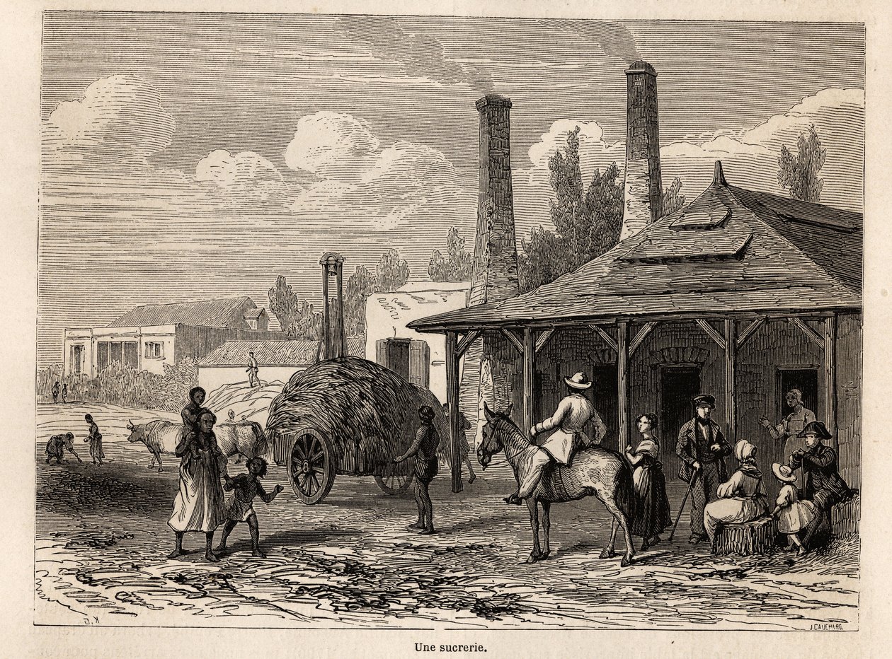 Cukrovar z Riviere du Rempart na Mauriciu, kresba Karla Girardeta (1813-1871), pro ilustraci pobytu Alfreda Verneyho na Mauriciu v roce 1861. Rytina v „“Le tour du monde“, editoval Edouard Charton od Karl Girardet