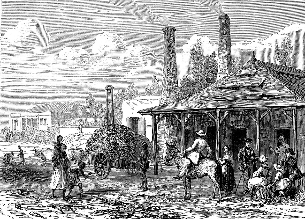 Sokeritehdas Mauritiuksella vuonna 1863. Le T du Monde Paris 1863 Kustantaja od Karl Girardet