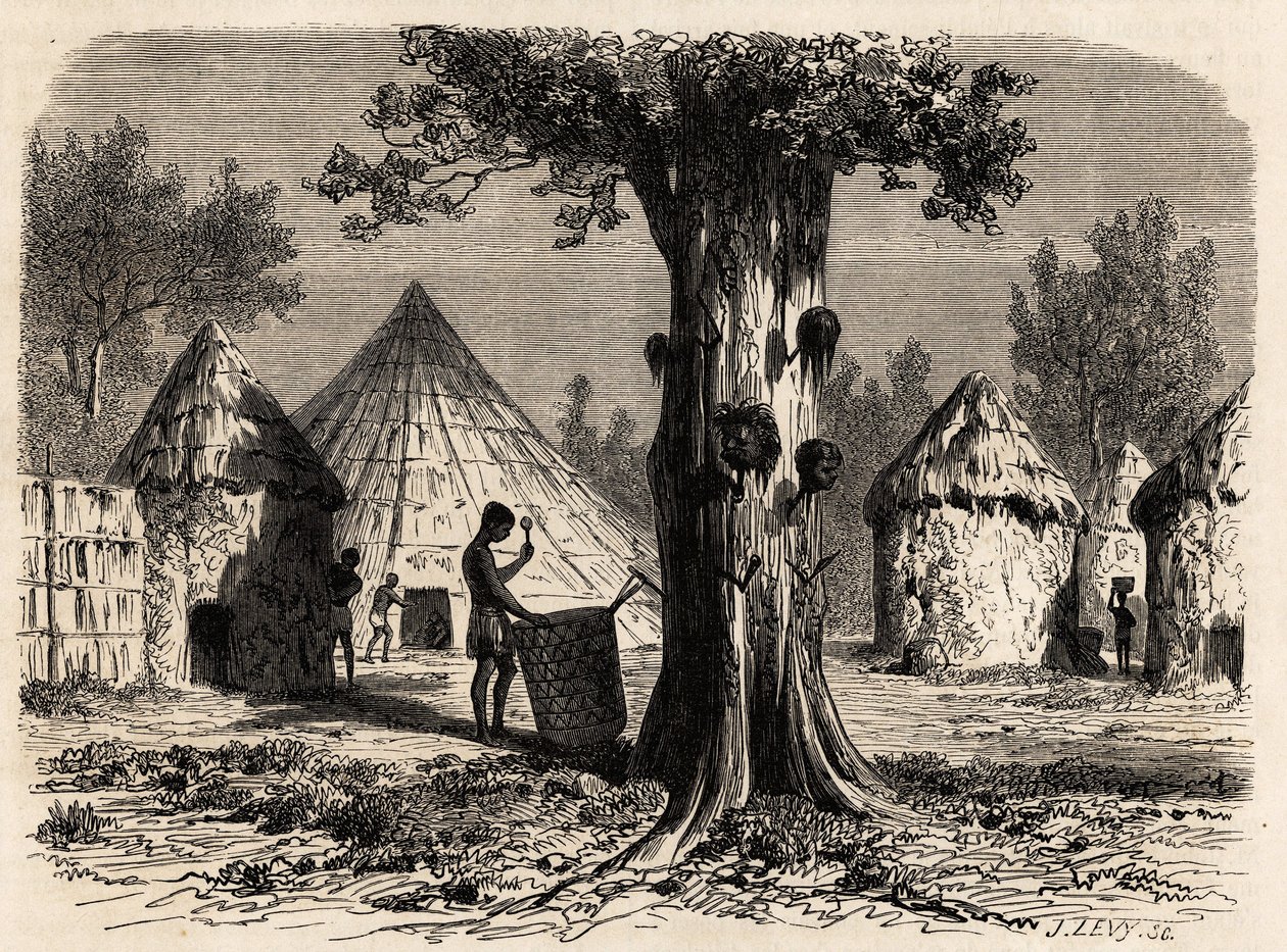 Strom války, ve vesnici Djour, oblast Bahr-el-Gazal, Súdán, kresba Karla Girardeta (1813-1871) ilustrující cestu k řece gazel A. Bolognesi v letech 1856-1857. Rytina v „“Le tour du monde““, editoval Edouard Charton od Karl Girardet