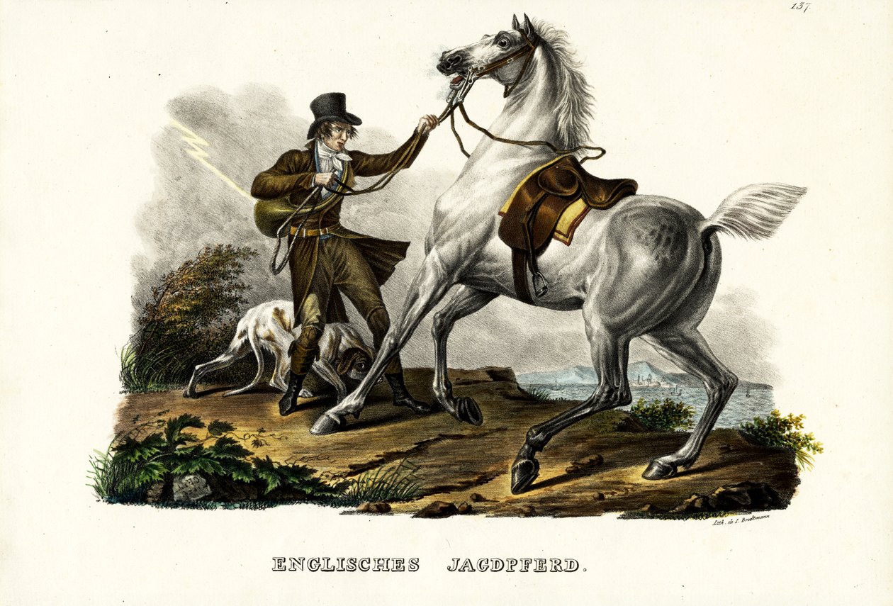 Anglický lovecký kůň, 1824 od Karl Joseph Brodtmann