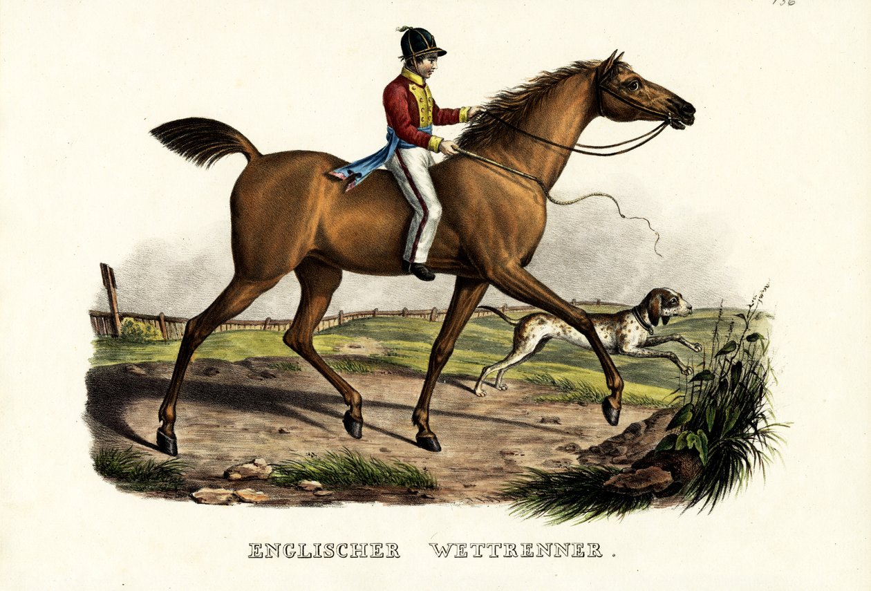 Anglický závodní kůň, 1824 od Karl Joseph Brodtmann