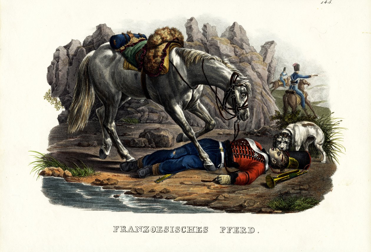 Francouzský kůň, 1824 od Karl Joseph Brodtmann