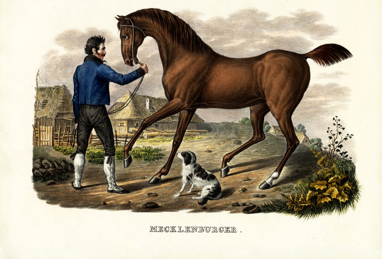 Meklenburský kůň, 1824 od Karl Joseph Brodtmann
