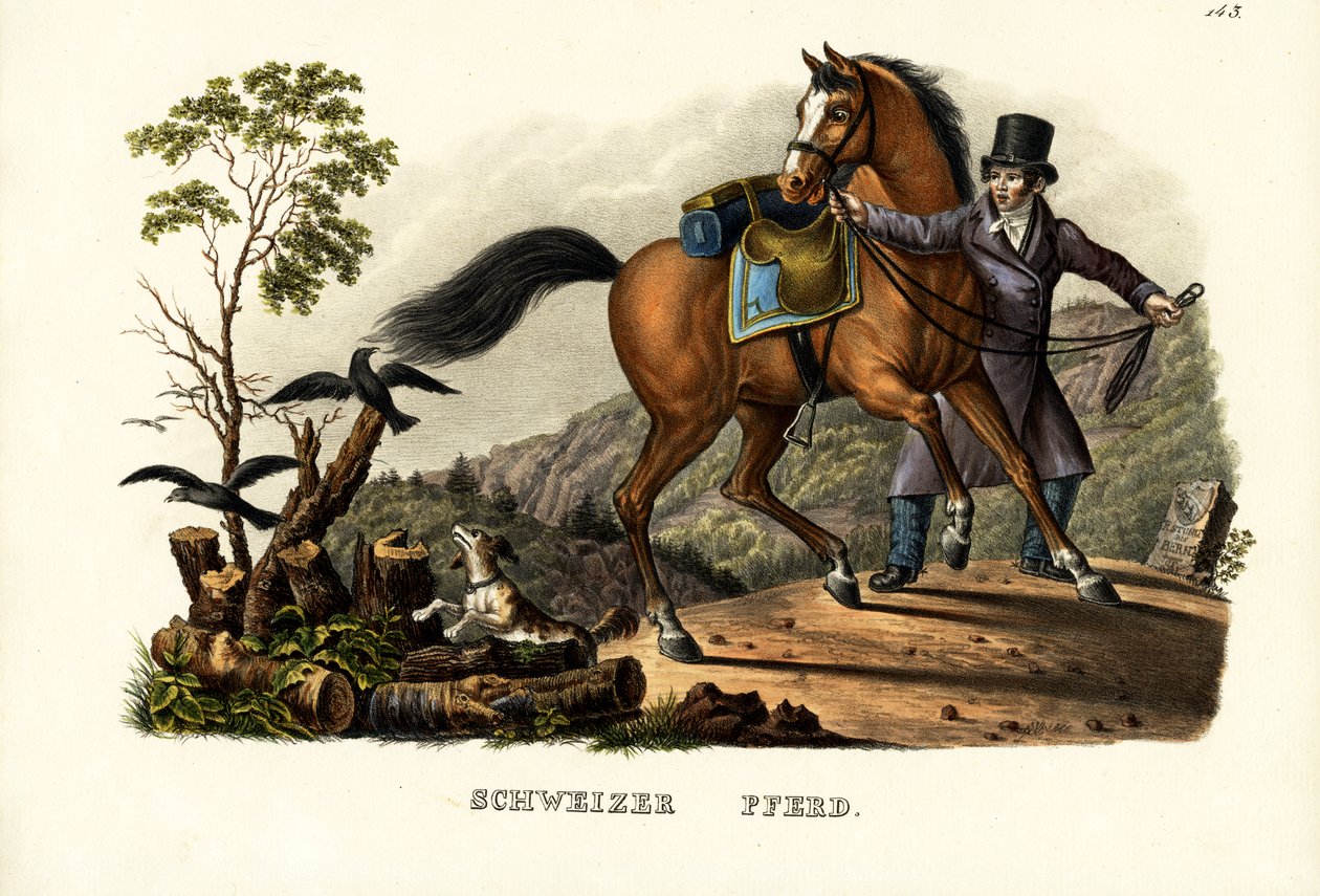Švýcarský kůň, 1824 od Karl Joseph Brodtmann