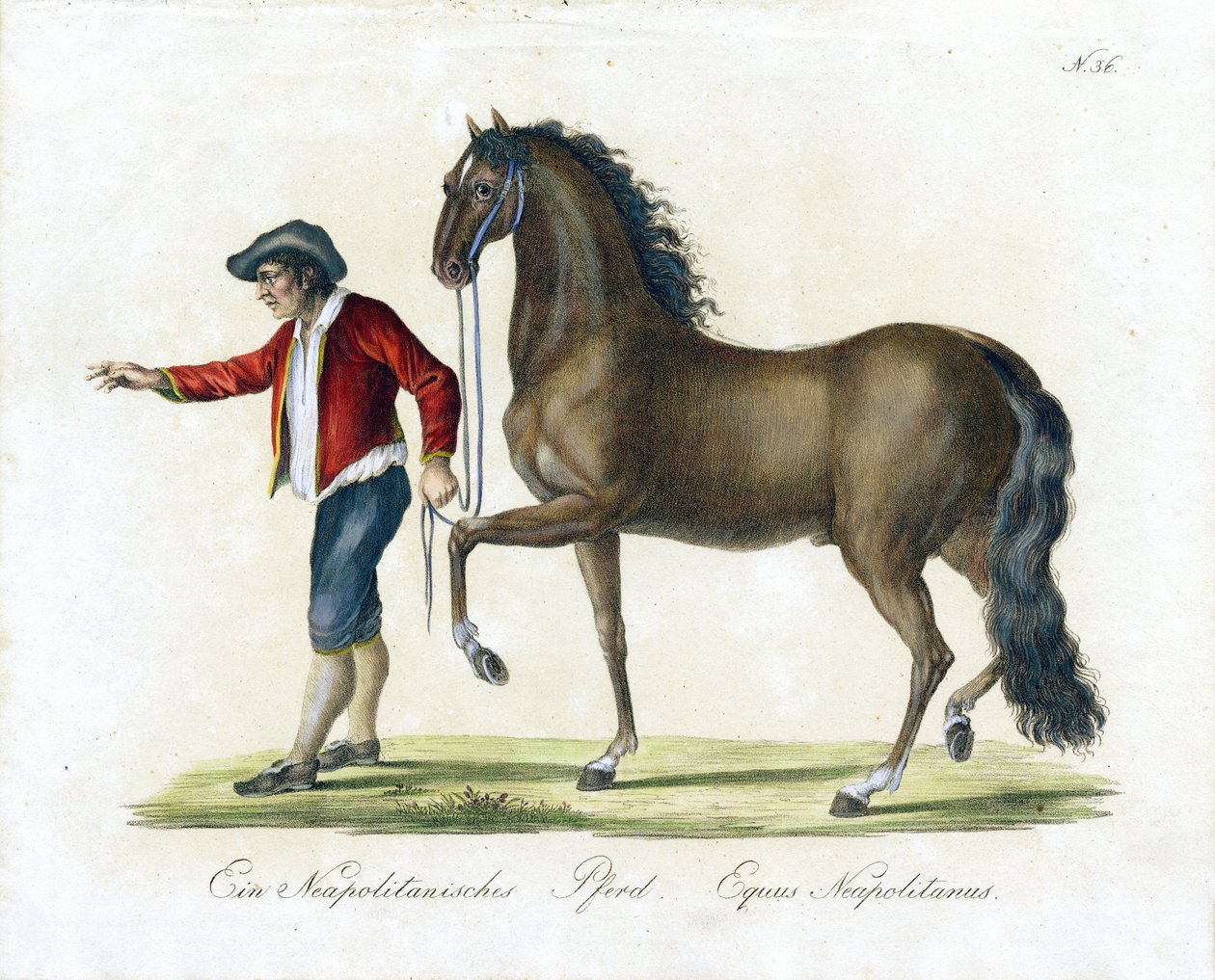  od Karl Joseph Brodtmann