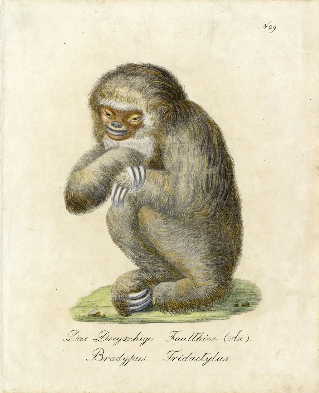  od Karl Joseph Brodtmann