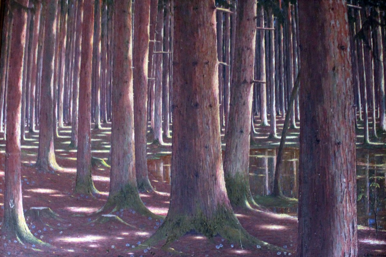 Smrkový les od Karl Lambrecht