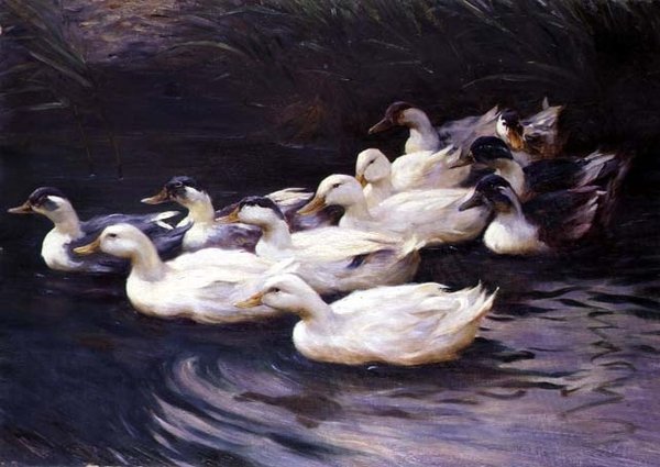 Kachny od Karl Lindner