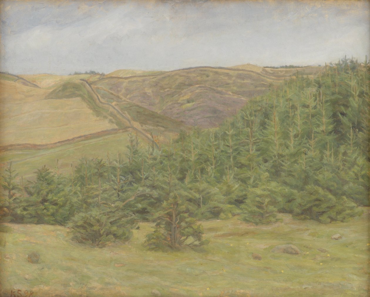 Svanninge Hills, Funen od Karl Schou