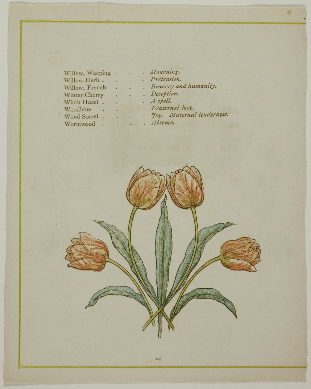 Dekorativní ilustrace z The Illuminated Language of Flowers od Kate Greenaway