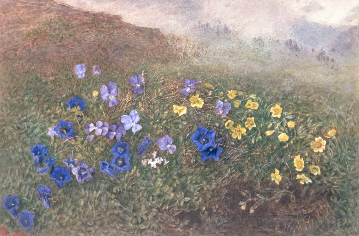 Jarní horské květiny, 1896 od Kate fl.1873 96 Goodwin