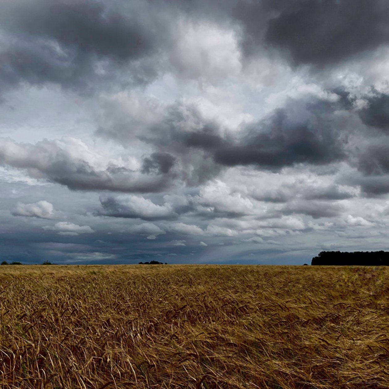 Bouřlivá obloha nad pozdně letní úrodou 2020 od Katha Wood