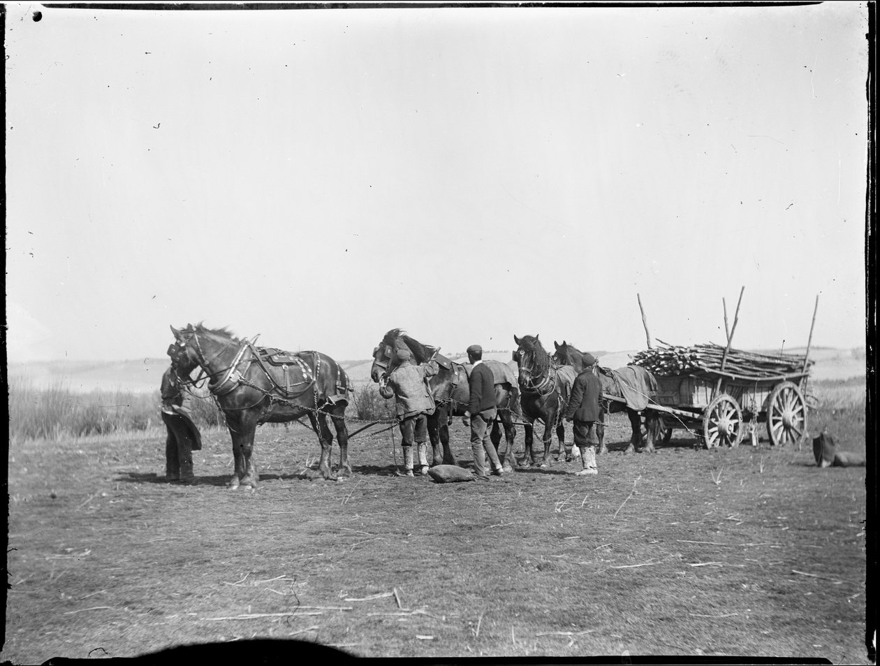 Broomfield, Broomfield And Kingswood, Maidstone, Kent, 06.04.1904 (černobílá fotografie) od Katherine Jean Macfee