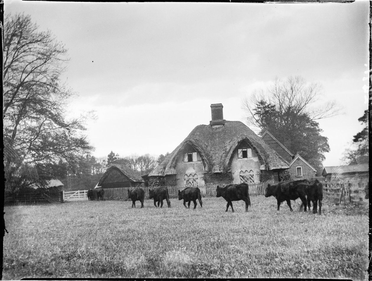Great Hampden, Great and Little Hampden, Wycombe, Buckinghamshire od Katherine Jean Macfee