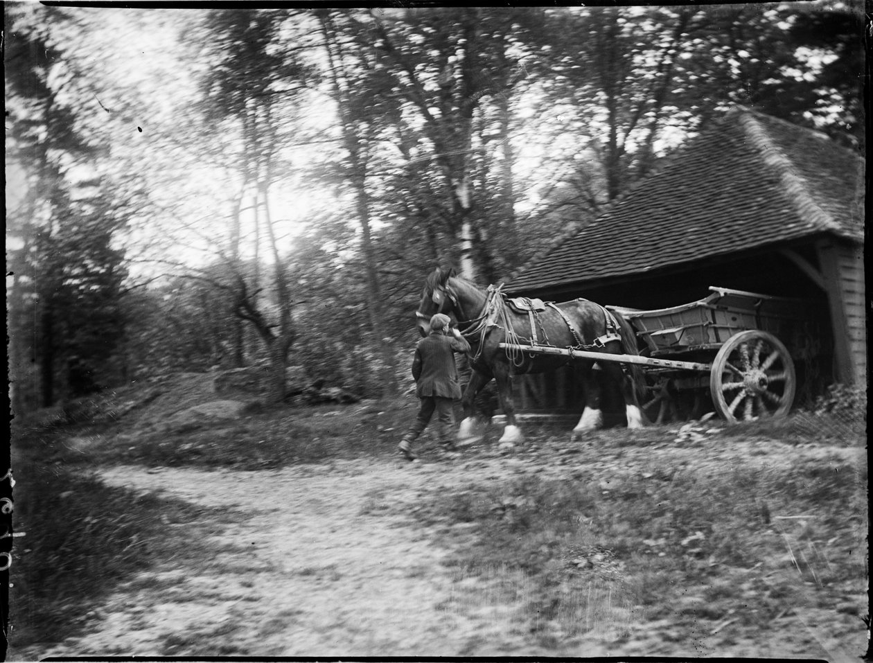 Groombridge, Speldhurst, Tunbridge Wells, Kent, 20.5.1911 (b/w valokuva) od Katherine Jean Macfee
