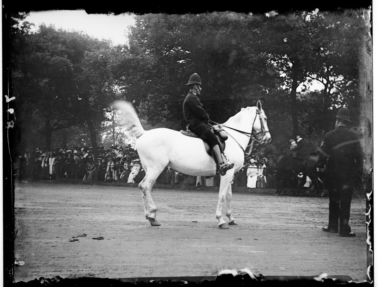 Hyde Park, City Of Westminster, Londýn od Katherine Jean Macfee