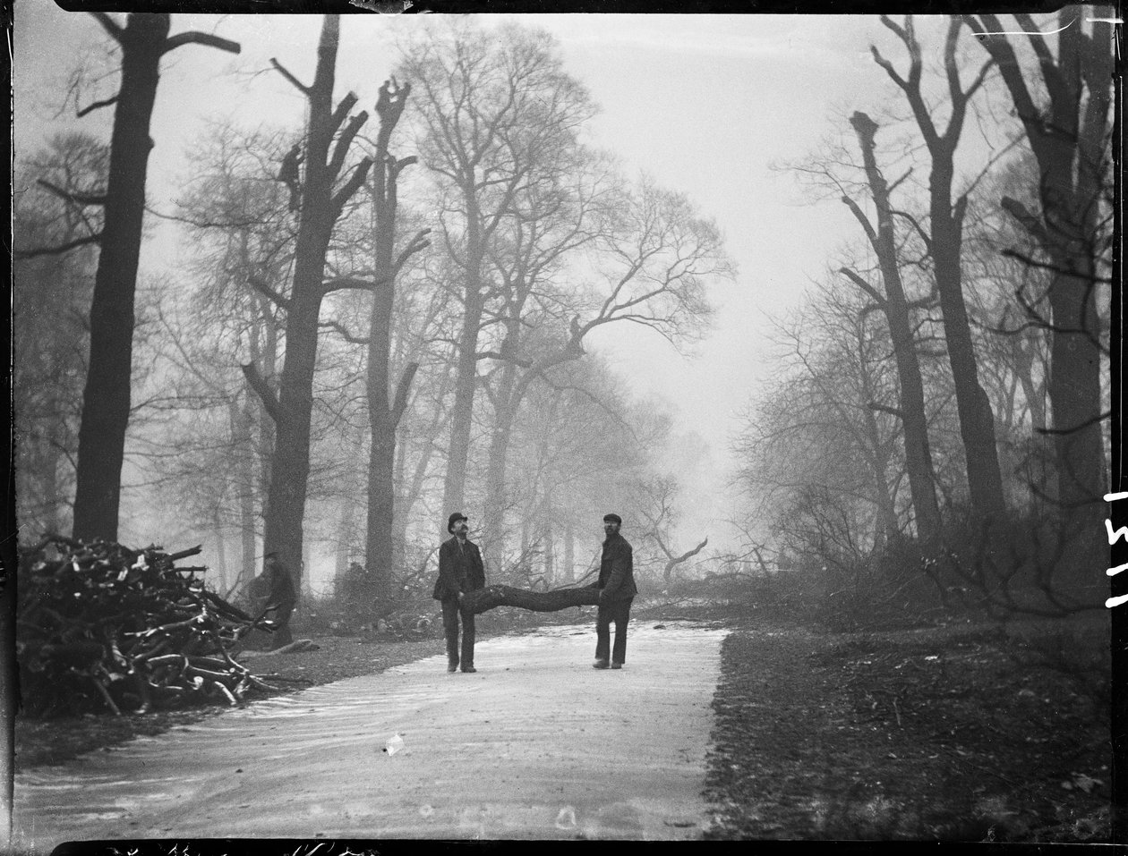 Kensington Gardens, Hyde Park, City Of Westminster, Londýn, 26. 1. 1907 (černobílá fotografie) od Katherine Jean Macfee