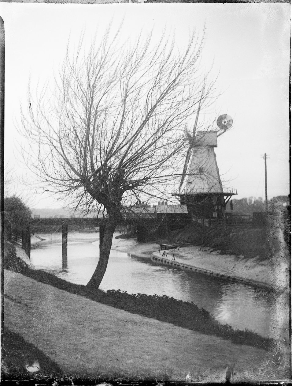 Rye Windmill, Ferry Road, Rye, Rother, East Sussex, 25.04.1905 (b/w kuva) od Katherine Jean Macfee