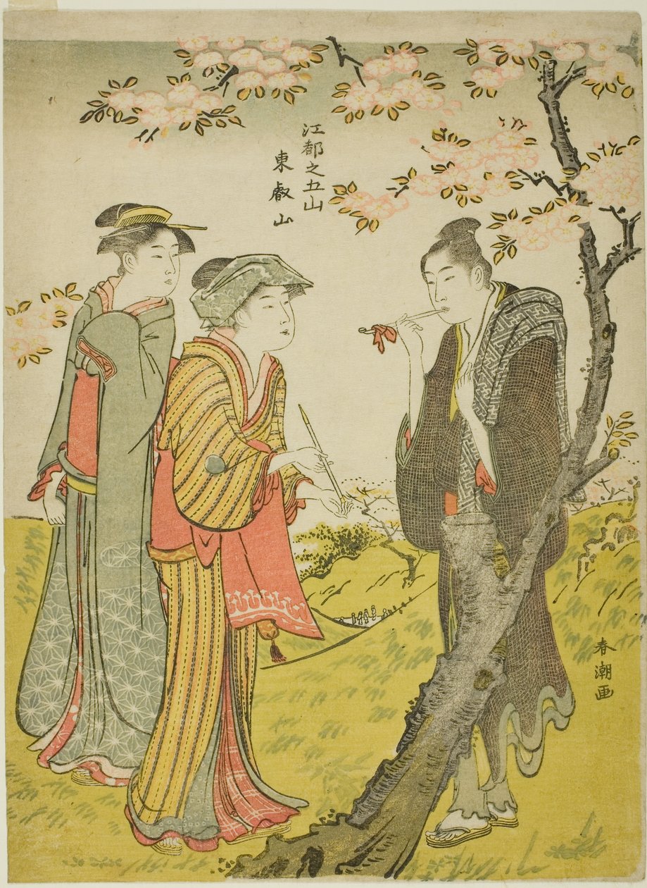 Toei Hill (Toeizan), ze série "Pět kopců Edo (Koto no gozan)" od Katsukawa Shuncho