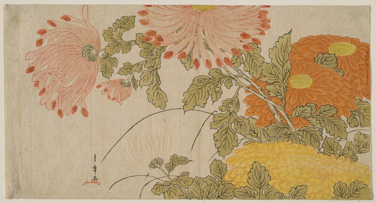 Chryzantémy od Katsukawa Shunsho