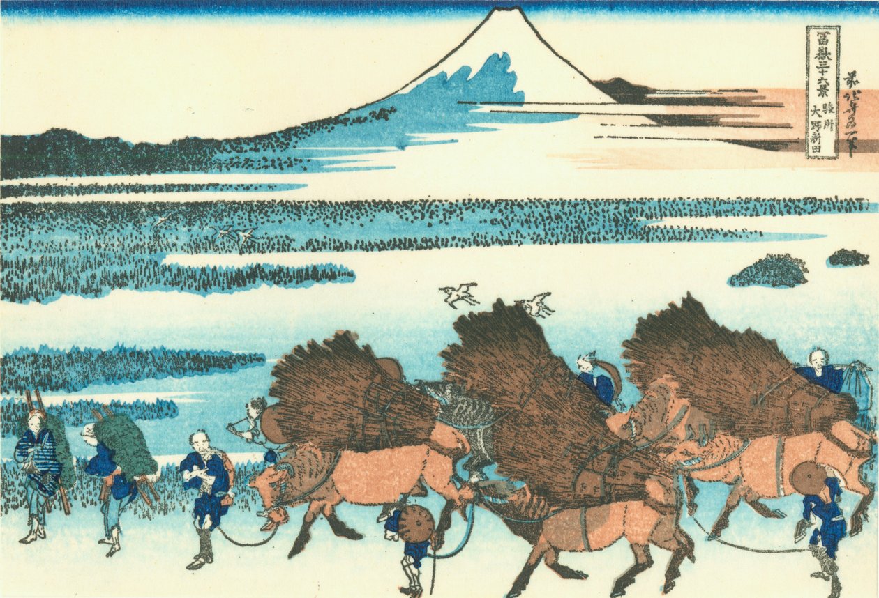 Rýžová pole v Ono, provincie Suruga od Katsushika Hokusai