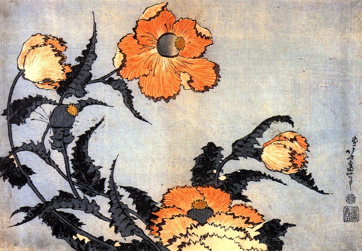 Vlčí mák od Katsushika Hokusai