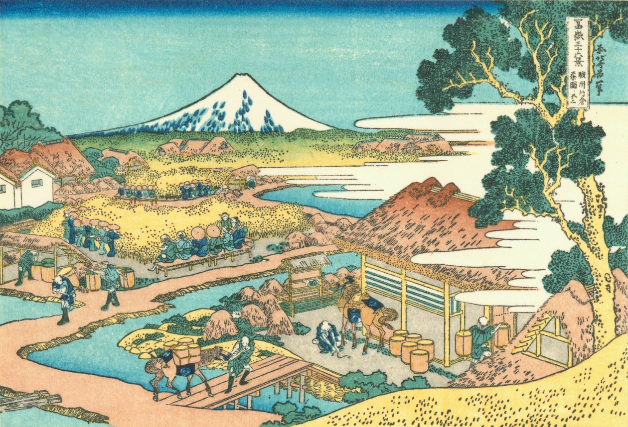 Fuji vidět z čajové plantáže v Katakura v provincii Suruga od Katsushika Hokusai