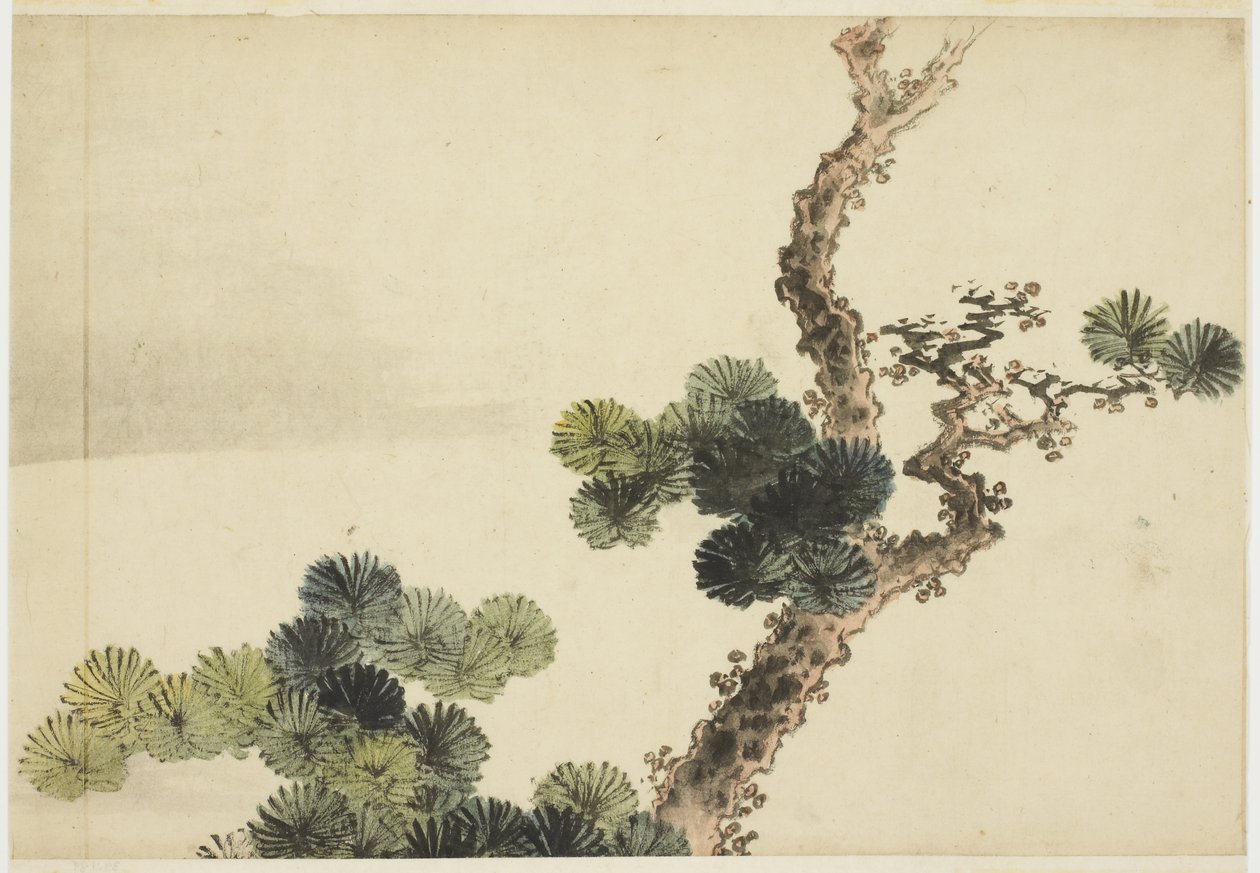 Borovicová větev od Katsushika (school of) Hokusai