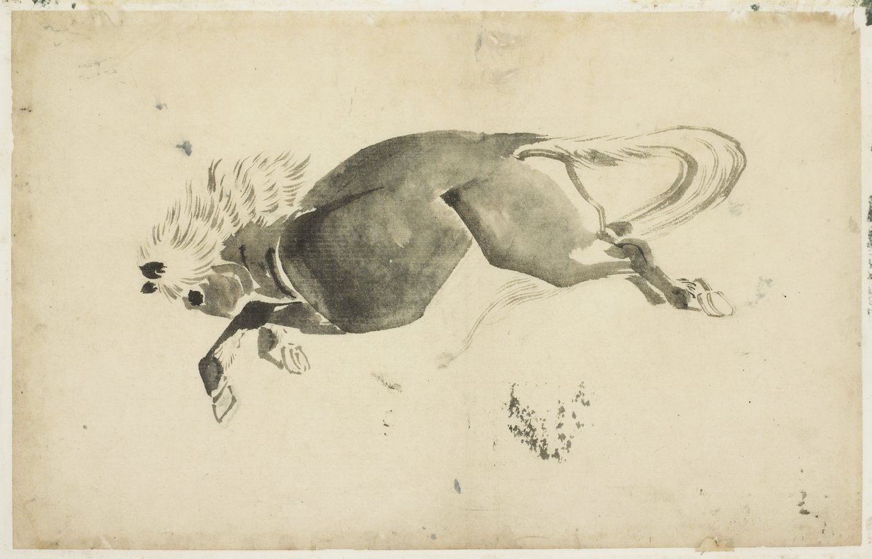 Běžící kůň, kolem 1815-1849 (inkoust na papíře) od Katsushika (school of) Hokusai