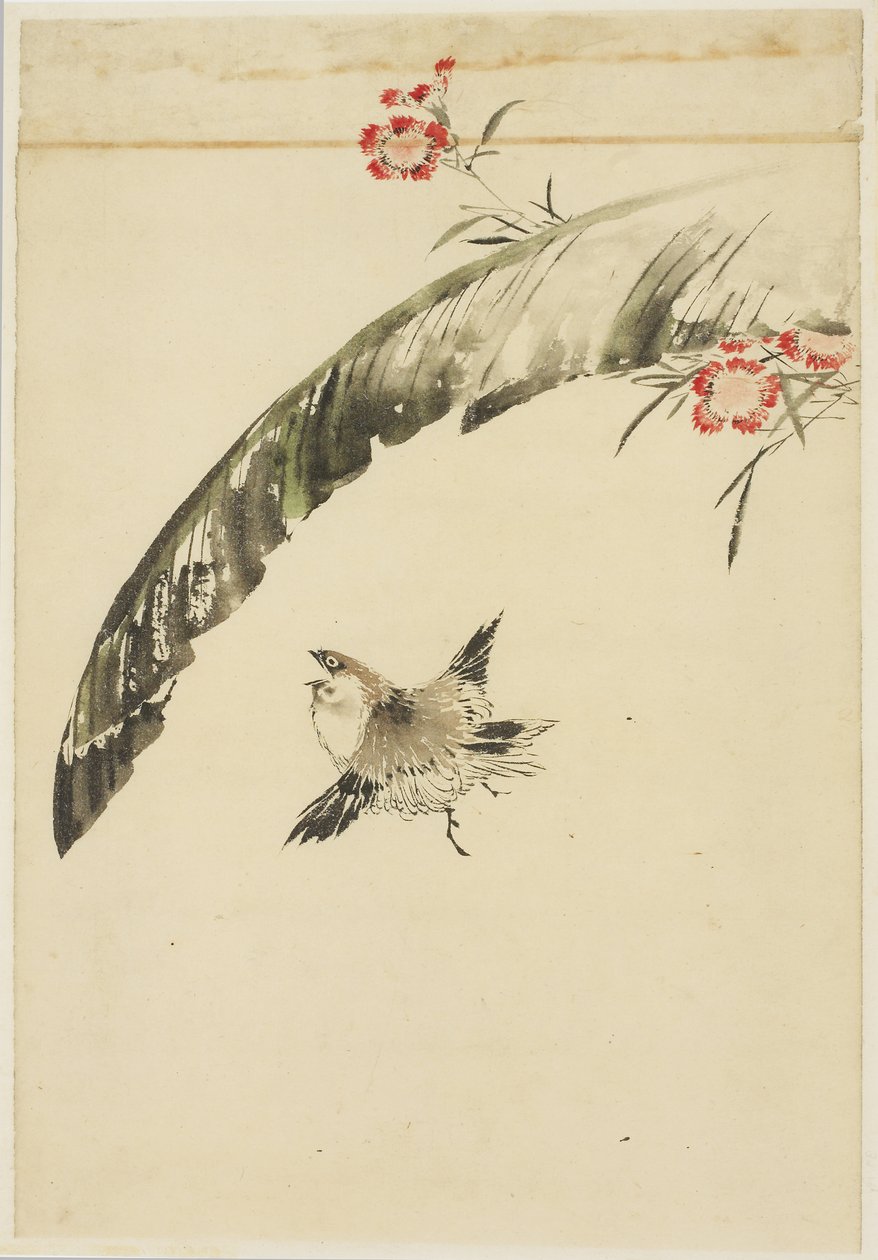Vrabec a banánový list a růžové, 1615-1868 (inkoust a barva na papíře) od Katsushika (school of) Hokusai