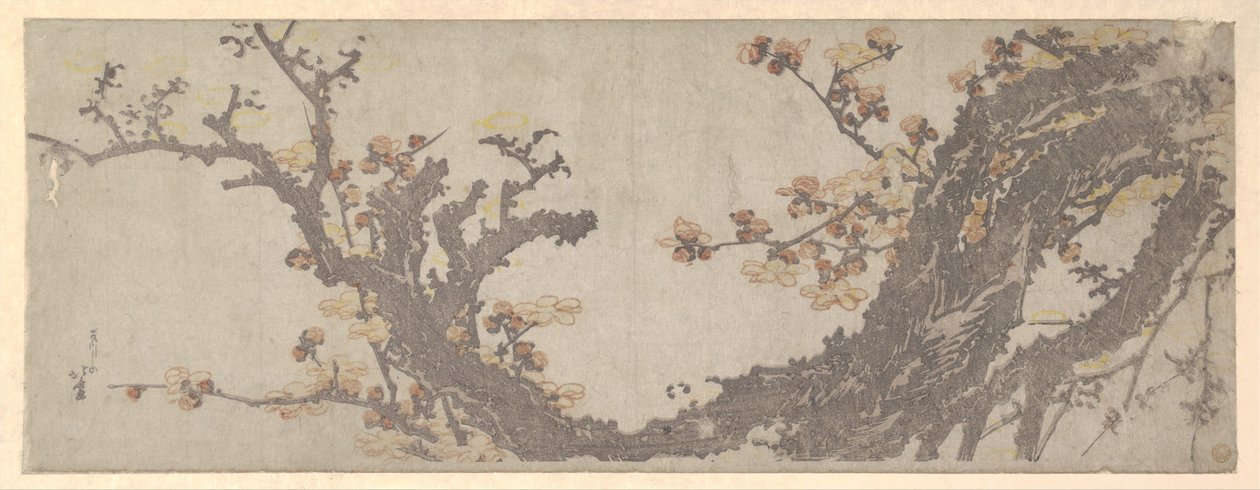 Kvetoucí starobylá švestka od Katsushika Hokusai