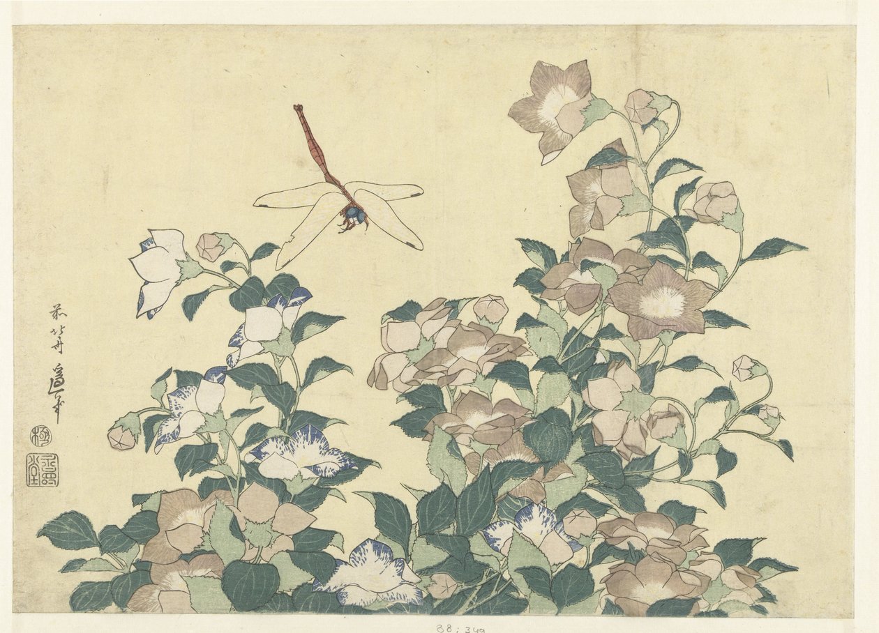 Balónový zvonek a vážka od Katsushika Hokusai