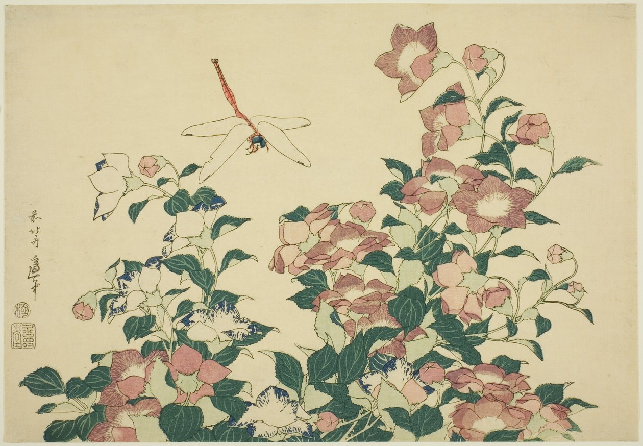 Bell-Flower a Dragonfly, z nepojmenované série velkých květin od Katsushika Hokusai