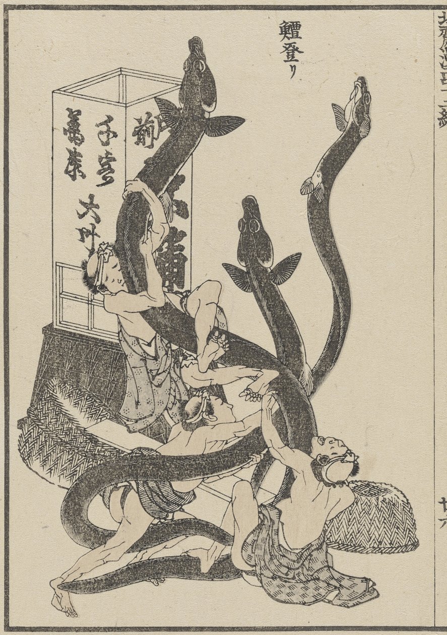Big Eels, c. 1840 (dřevotisk) od Katsushika Hokusai