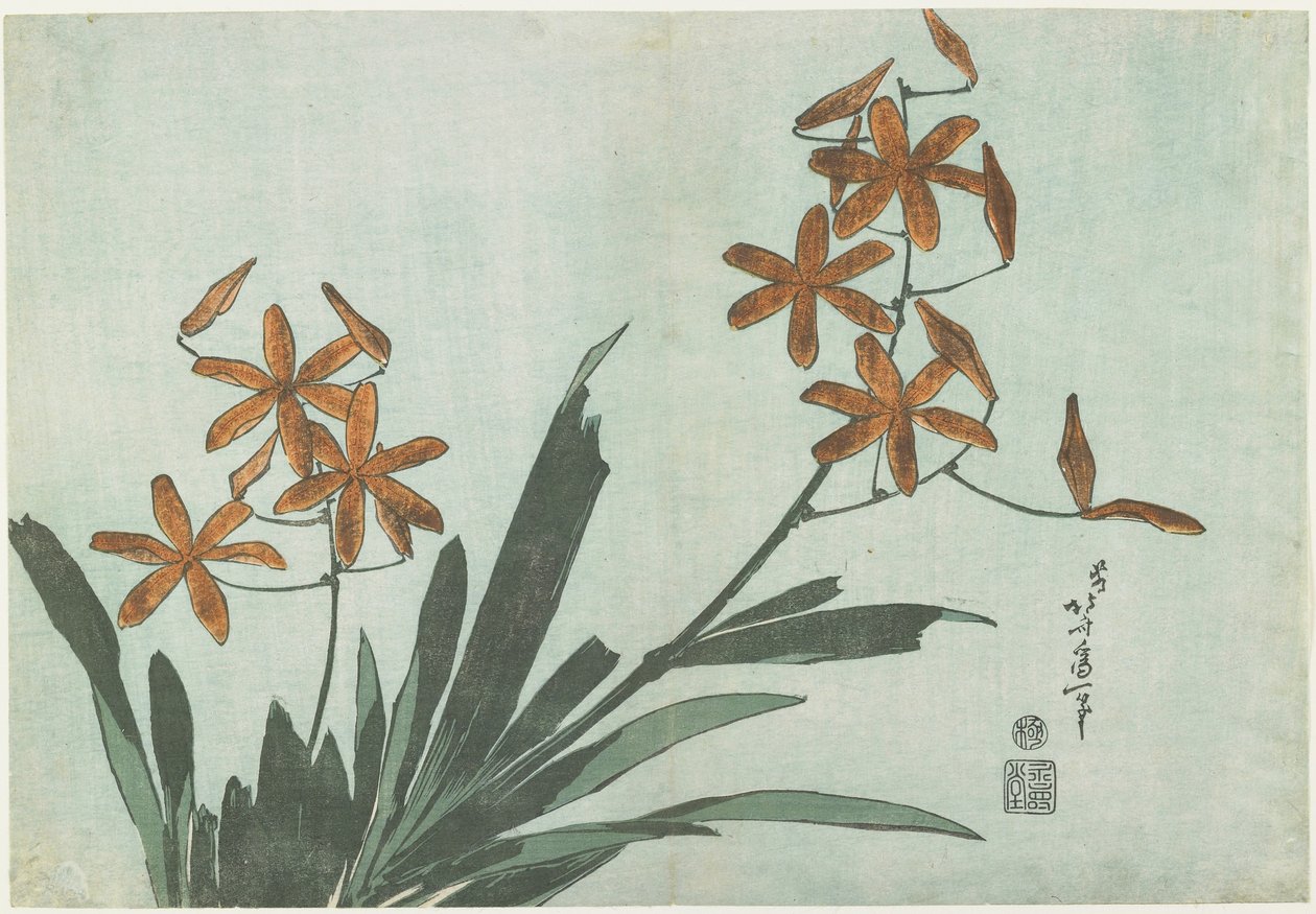Ostružinové lilie, asi 1832 od Katsushika Hokusai