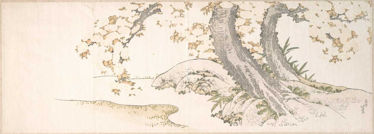 Kvetoucí třešně u potoka od Katsushika Hokusai