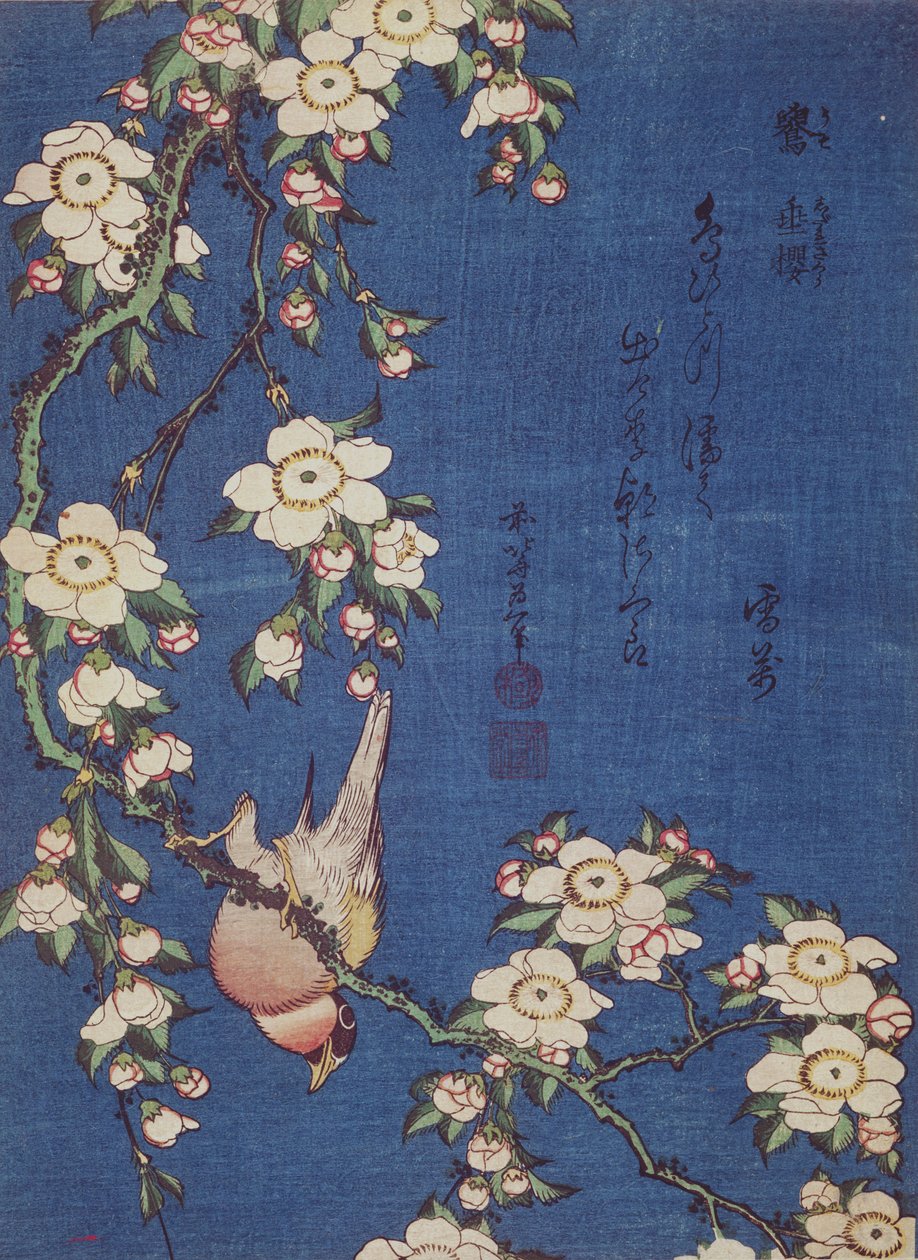 Hýl a plačící třešeň, hospoda. c.1834 (barevný dřevořez) od Katsushika Hokusai
