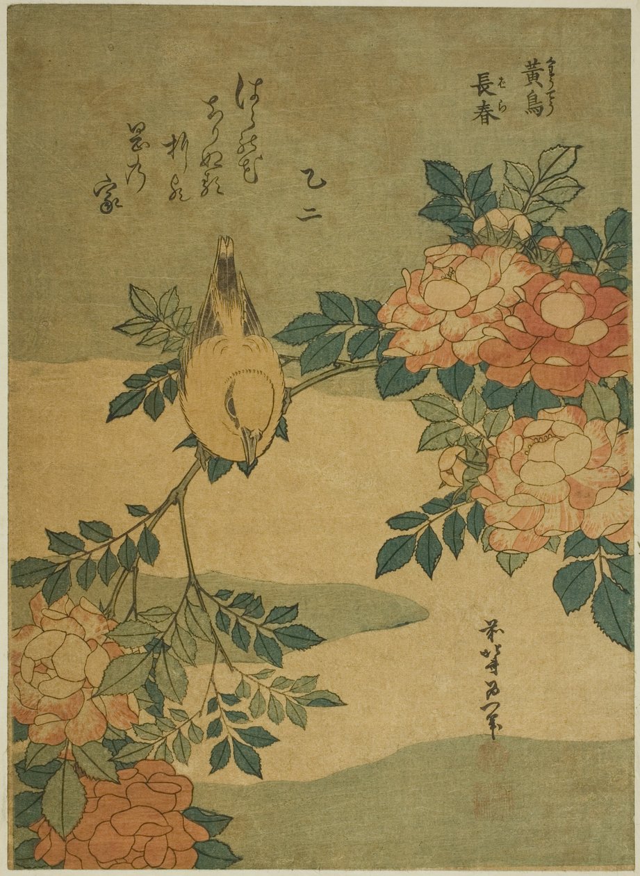 Pěnice a růže (Kocho, Bára), z nepojmenované série květin a ptáků od Katsushika Hokusai