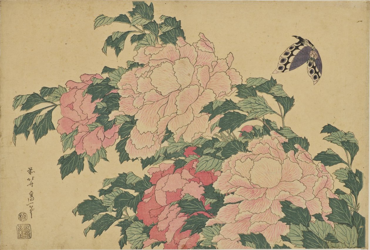 Motýli a pivoňky od Katsushika Hokusai