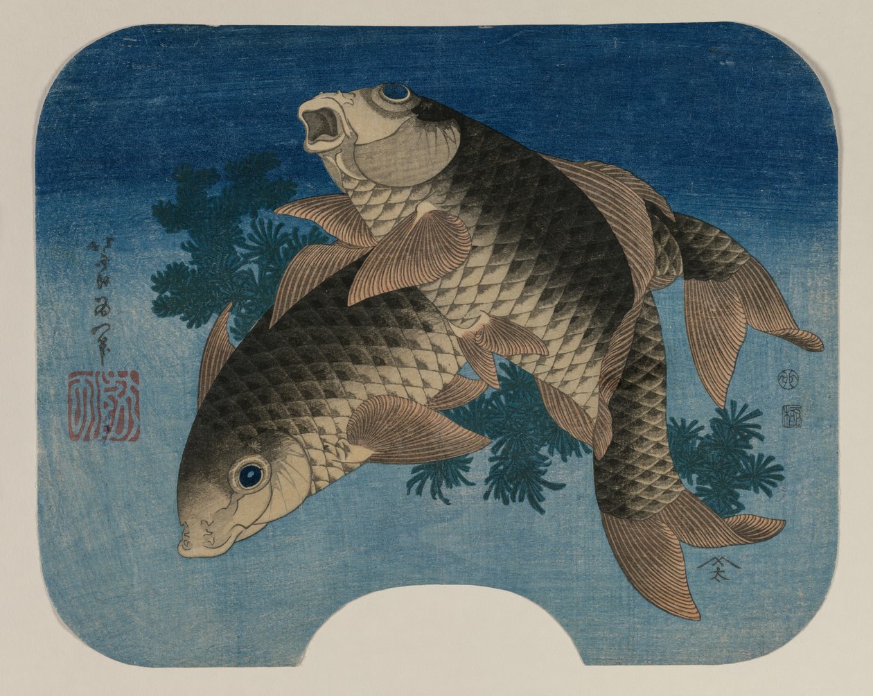 Plavání kaprů vodními plevely od Katsushika Hokusai