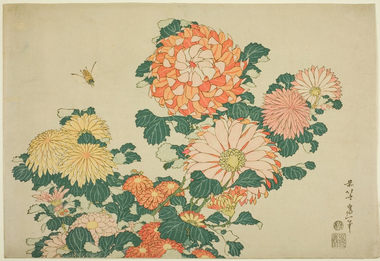 Chryzantémy a včela z nepojmenované série Velkých květin od Katsushika Hokusai
