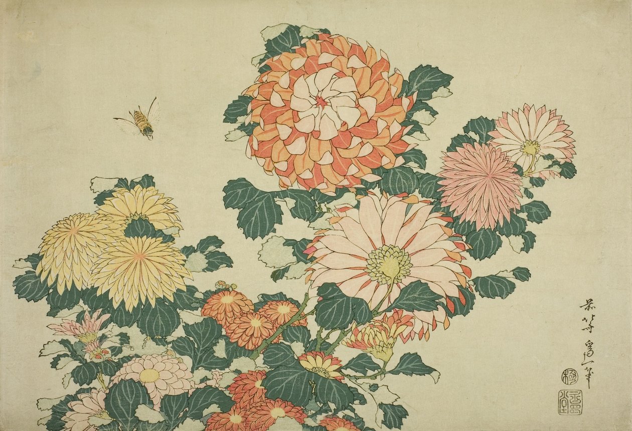 Chryzantémy a včela, z nepojmenované série Velkých květů, cca 1833-34 od Katsushika Hokusai